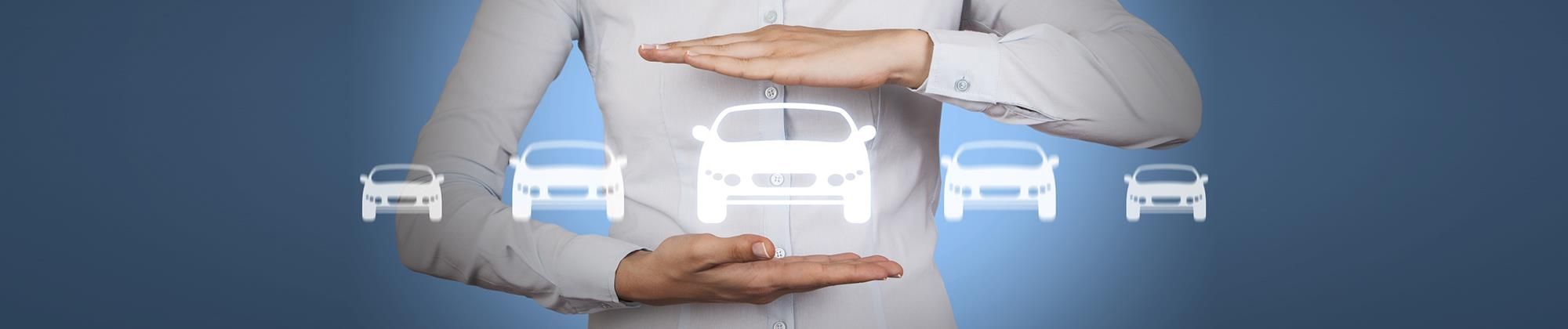 Vehicle Valuation at Lynx Garage